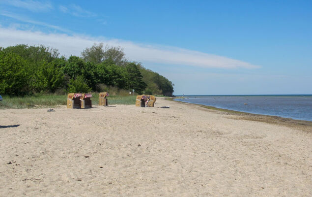 Gollwitzer Park (Insel Poel) - Photo 20