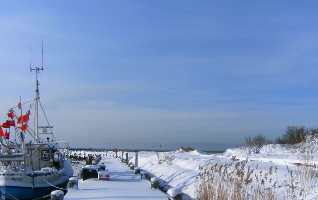 Gollwitzer Park (Insel Poel) - Photo 24