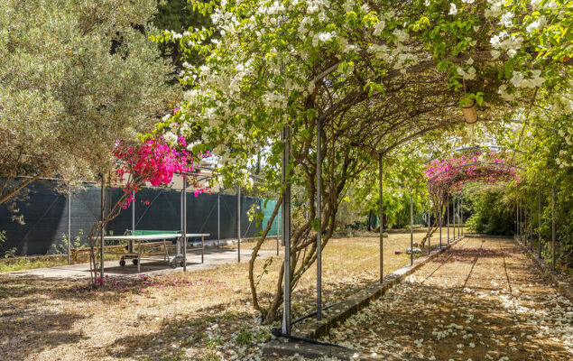 Cicladi Kea - Photo 27