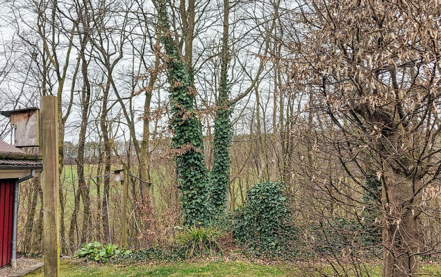 Haus am Wald - Photo 10