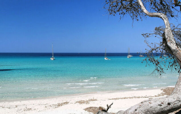 T2 Costa D'Oru - Photo 21