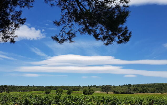 Les Grandes Bleues 3 - Photo 26