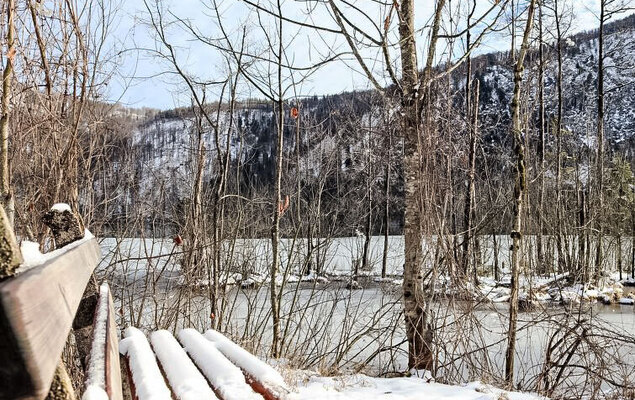 Spatzennest / Top 7 - Photo 13