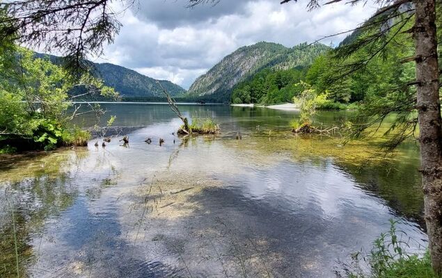 Spatzennest / Top 7 - Photo 37