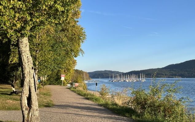 Habsmoosbach - Photo 50