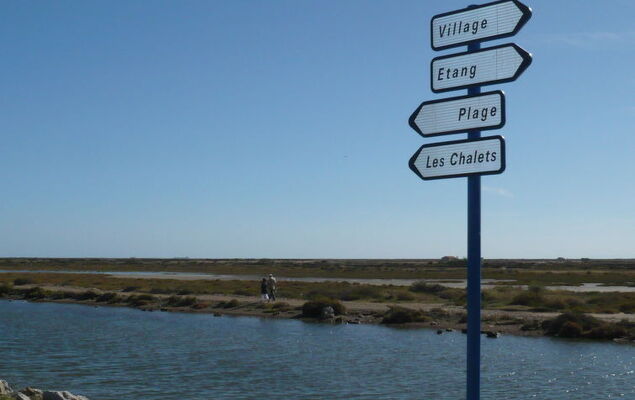 Les Amandines - Photo 23