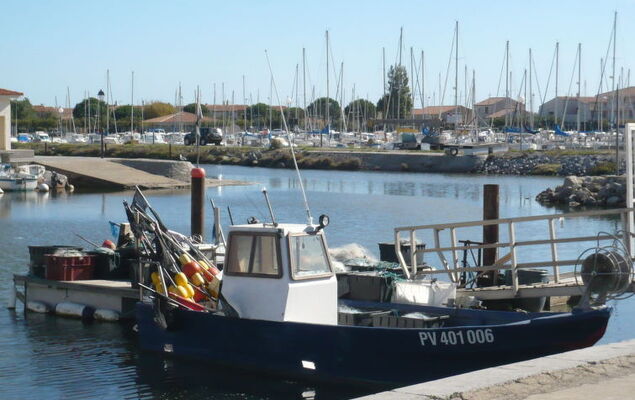 Les Amandines - Photo 28